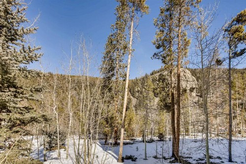 Ski Tip Townhomes 8713 - image 25