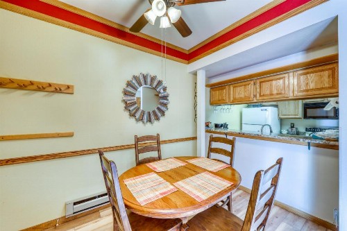 Ski Run Condominiums 109 - image 11