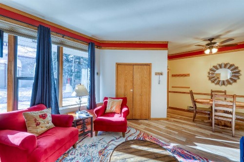 Ski Run Condominiums 109 - image 12