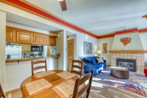 Ski Run Condominiums 109 - image 9