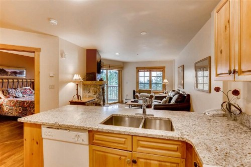 River Run Village 1 Bedroom Condo at Expedition Station walk to Gondola - image 5