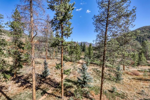 The Pines 2048 - image 11