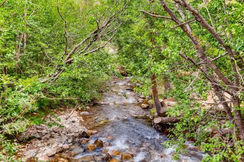 River Run Village 3 Bedroom Condo at The Springs Walk to Gondola - image 3