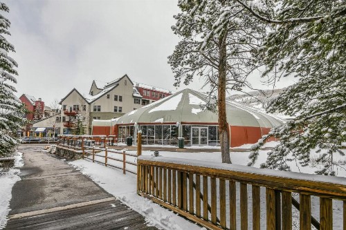 Jack Pine 8005 - image 7