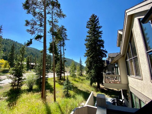 Ironwood 2988 - image 28
