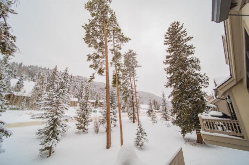 Ironwood 2988 - image 29