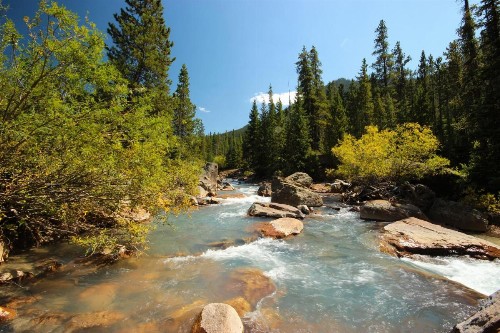Trappers Crossing 8753 - image 10