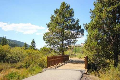 Trappers Crossing 8753 - image 12