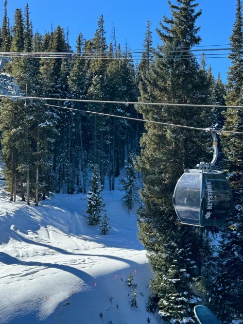 Trappers Crossing 8753 - image 16