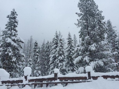 Trappers Crossing 8753 - image 9