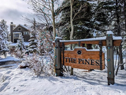 Pines 2045 - image 1