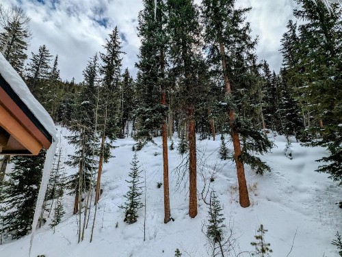 Settlers Creek 6535 - image 35