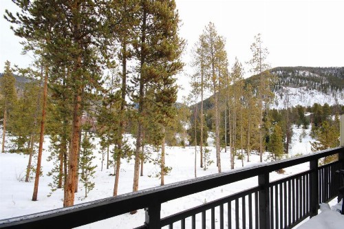 Pines 2074 - image 35