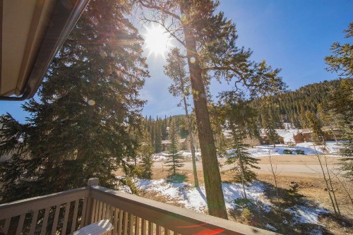 Ironwood 2986 - image 25