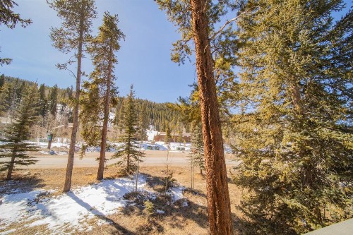 Ironwood 2986 - image 31