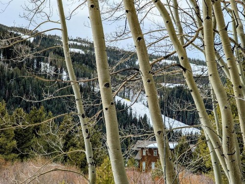 Ski Tip Ranch 8739 - image 23