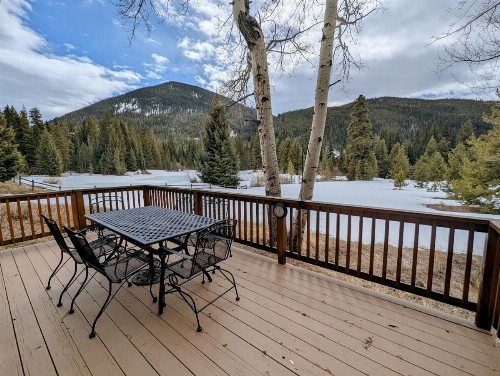 Ski Tip Ranch 8739 - image 49