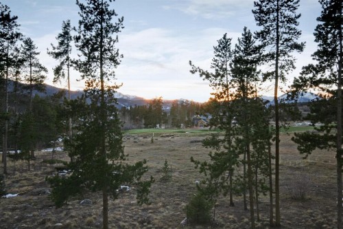 Pines 2169 - image 22