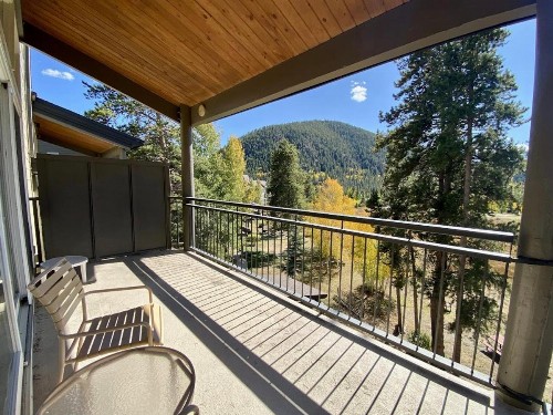 Pines 2169 - image 33