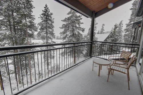 Pines 2169 - image 38
