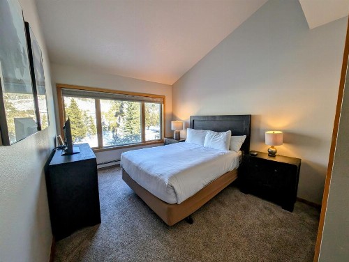 Pines 2169 - image 47
