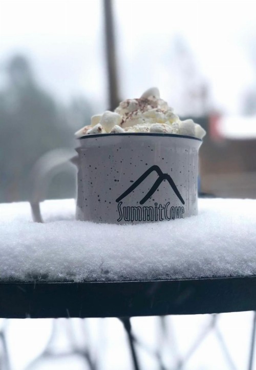 Ski Run 201 - image 19