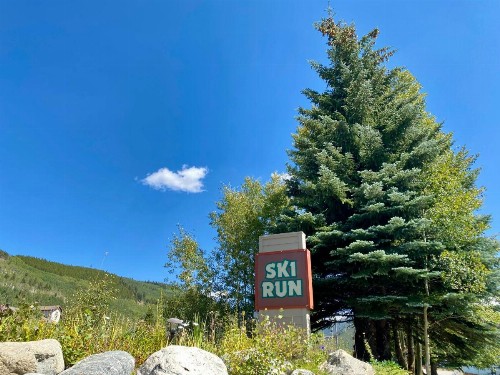 Ski Run 201 - image 6