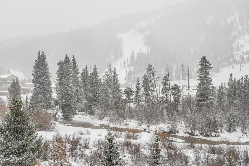Hidden River Lodge 5981 - image 39