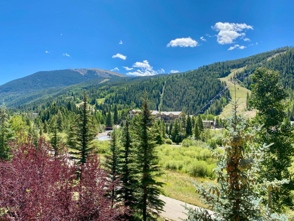 Tenderfoot Lodge 2643 - main image
