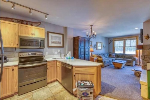 Buffalo Lodge 1 Bedroom Condo at River Run Village Walk To Lifts - image 12