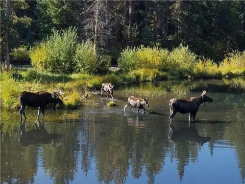 650-2_Settlers_Creek - image 12