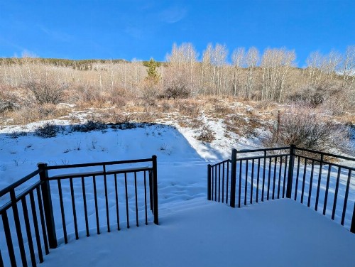 Enclave 12 - image 50