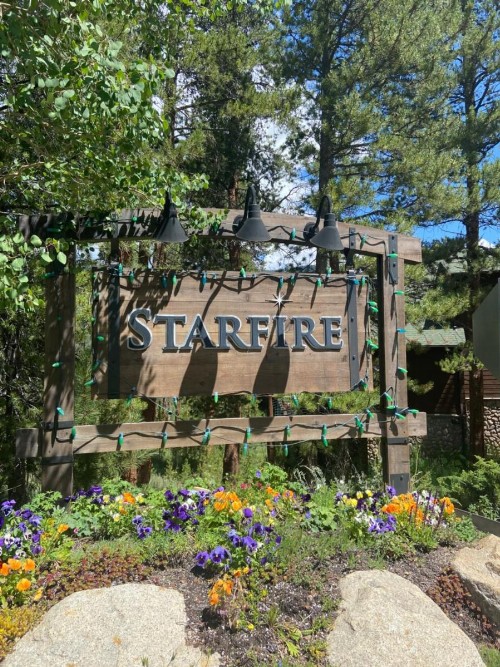 Starfire 1992 - image 4