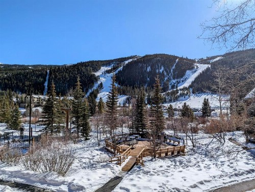 Tenderfoot Lodge 2626 - image 11
