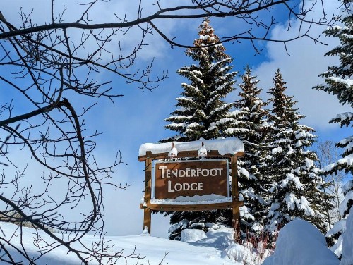 Tenderfoot Lodge 2626 - image 19