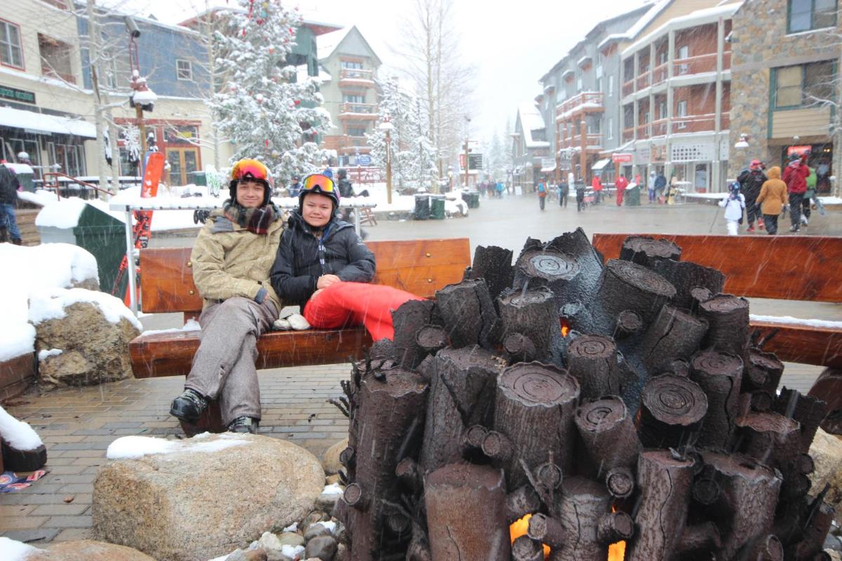 Black Bear 8064 - image 3