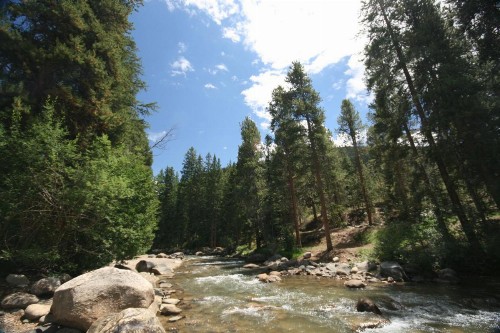 Pines 2047 - image 16