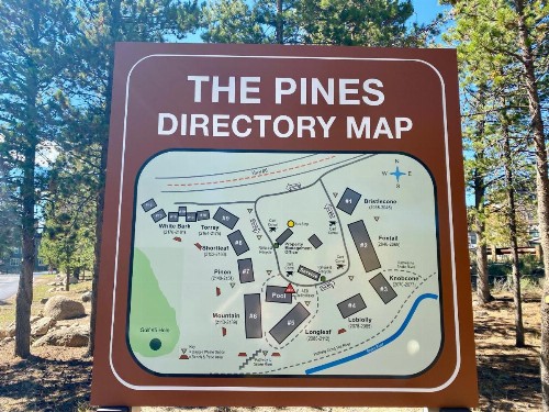 Pines 2047 - image 47