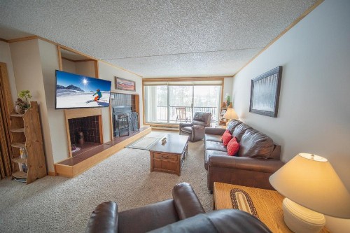 Pines 2086 - image 28