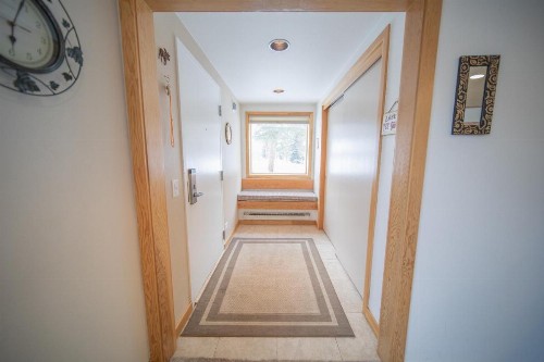 Pines 2086 - image 46