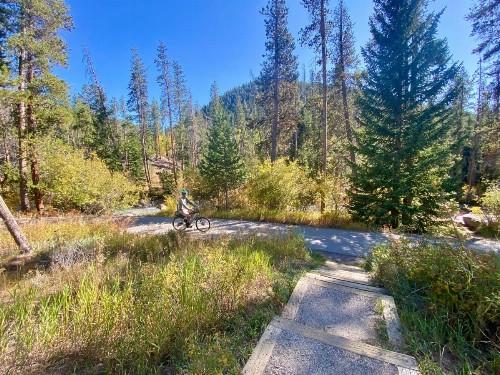 Pines 2086 - image 47