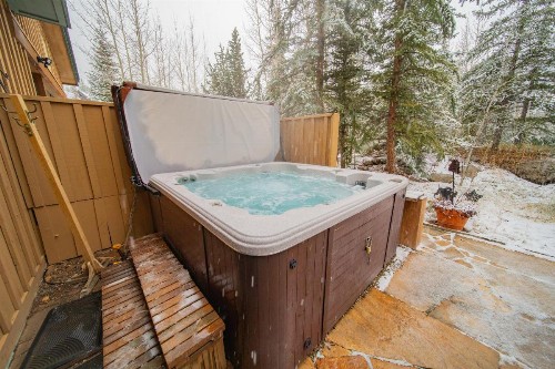 Ski Tip Ranch 8701 - image 22