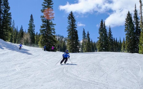 Ski Tip Ranch 8701 - image 6