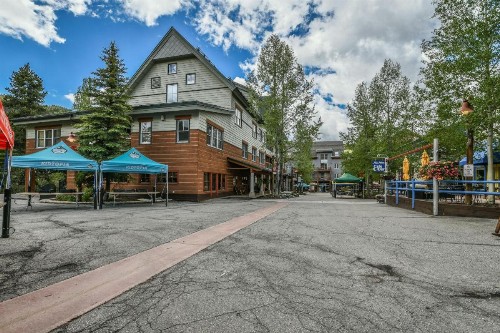 Jack Pine 8006 - image 17