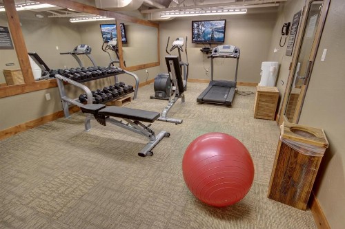 Jack Pine 8006 - image 37
