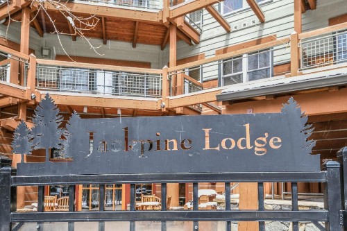 Jack Pine 8006 - image 41