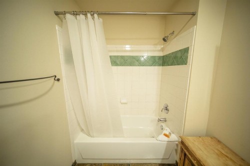 Jack Pine 8006 - image 9