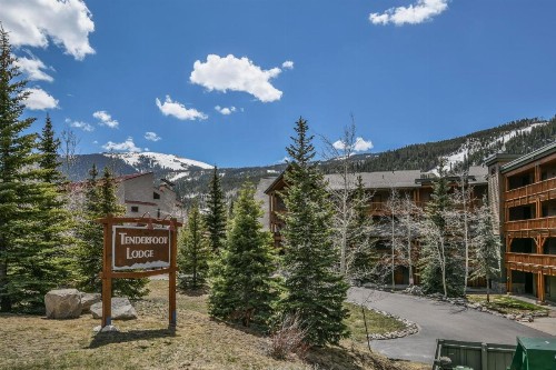 Tenderfoot Lodge 2673 - image 10