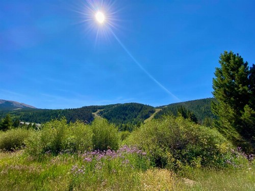 Tenderfoot Lodge 2673 - image 14