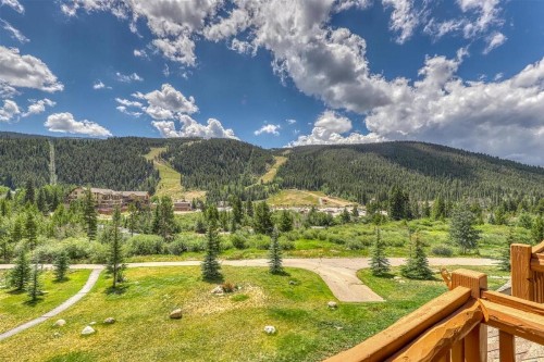 2605 Tenderfoot Lodge - image 14
